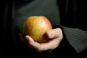 Kombinace Hpp A Ičo